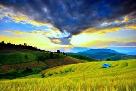 Khonoma Village Sunset, Nagaland