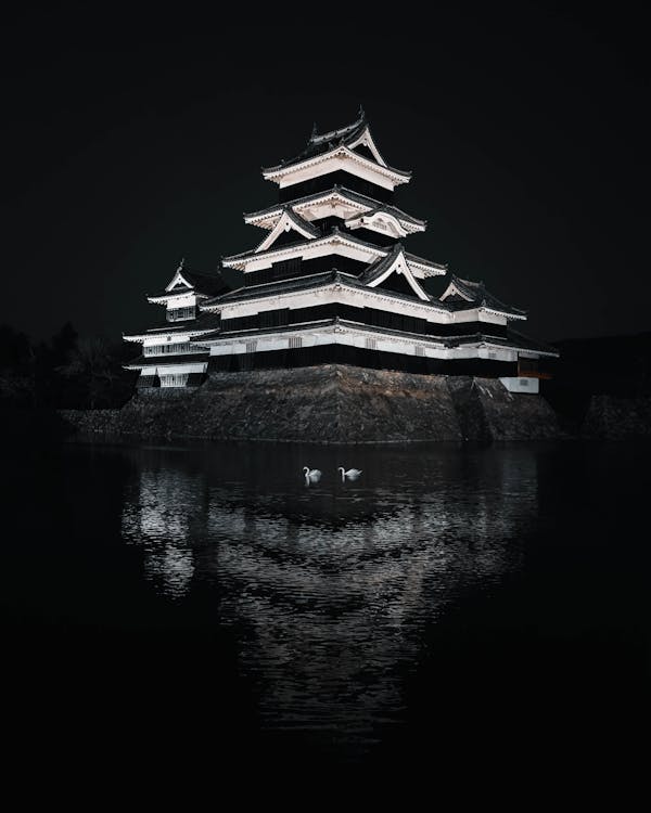 Visit Osaka Castle - Image 3