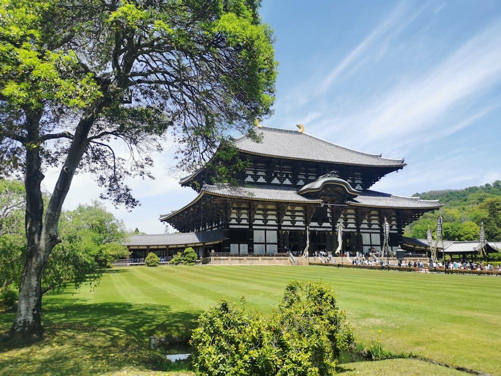 Arrive at Nara & visit the Toda-ji temple and the famous Nara Deer Park. - Image 1