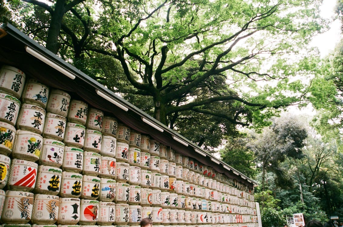 Visit Tokyo Meiji Shrine. - Image 1